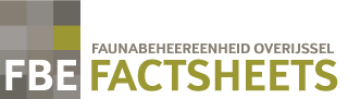 FBE Overijssel - Factsheets